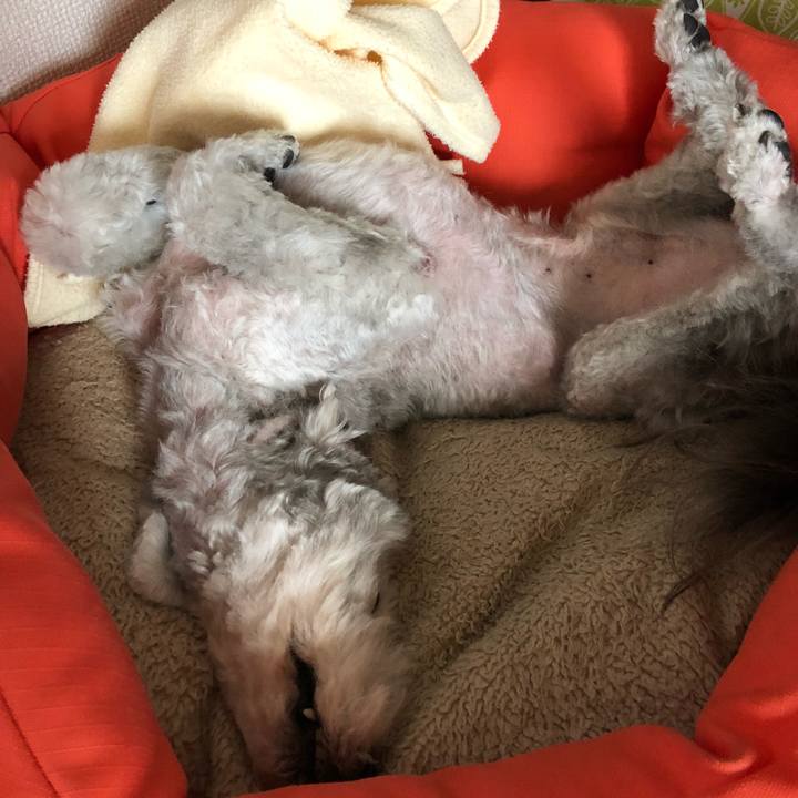 B1f4b08e 5cb5 4c4b 8280 462b09031efe 1528508105595