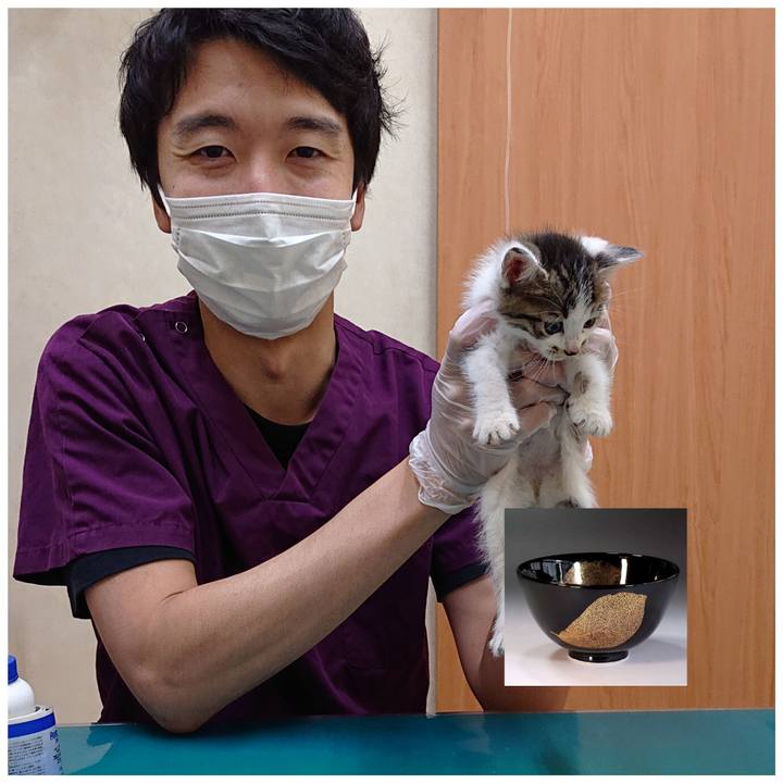 B1f4ce8d 57a8 4695 8c14 d530823d6e91 1538534839229