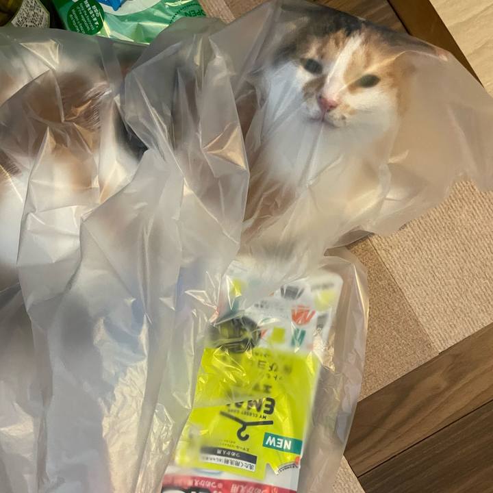 B1f50b99 cd0a 4dea 9623 ff08dc649810 1657352287296