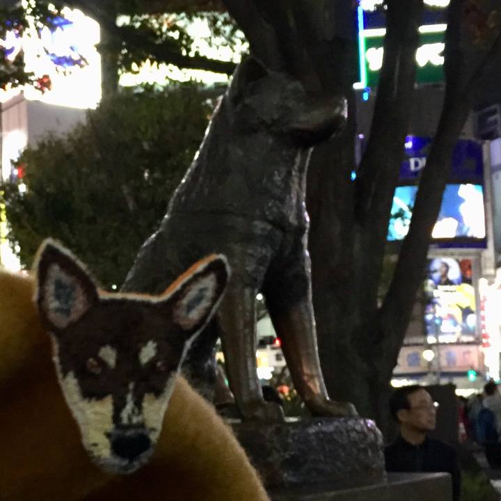 B1f520a8 f692 46b0 a812 0ee5c3c54ea3 1542710231175