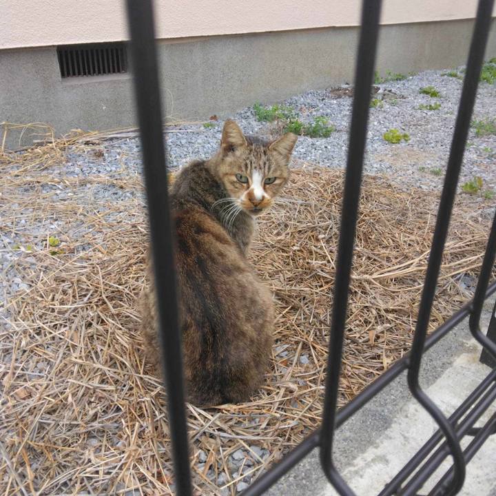 B1f55011 1b5f 496a 909b 12de112986b3 1708309523717