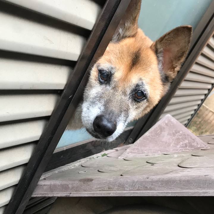 B1f57101 b12d 48b3 84b9 81abc8e4df37 1538611468040