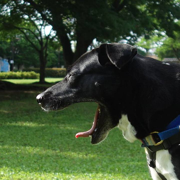 B1f58b9b 1fdd 4a4c bae5 3cad9b1c6f91 1652834736358