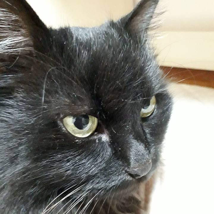 B1f5a557 2dcb 4956 8b6b 68d400e9ca21 1524571994380