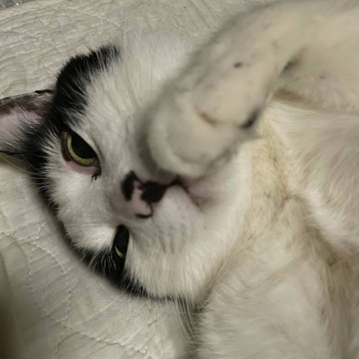 B1f5a8f1 7635 4371 b67f f78119c43466 1617903306274