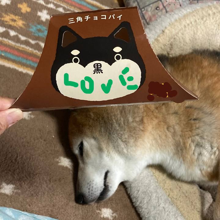 B1f5eff1 3785 4eed 950d 5c82648b0012 1730002831338