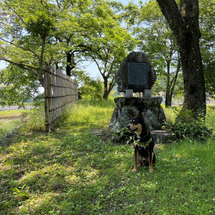 B1f62026 7808 40a1 87a9 2a52f0cb176a 1621767389175