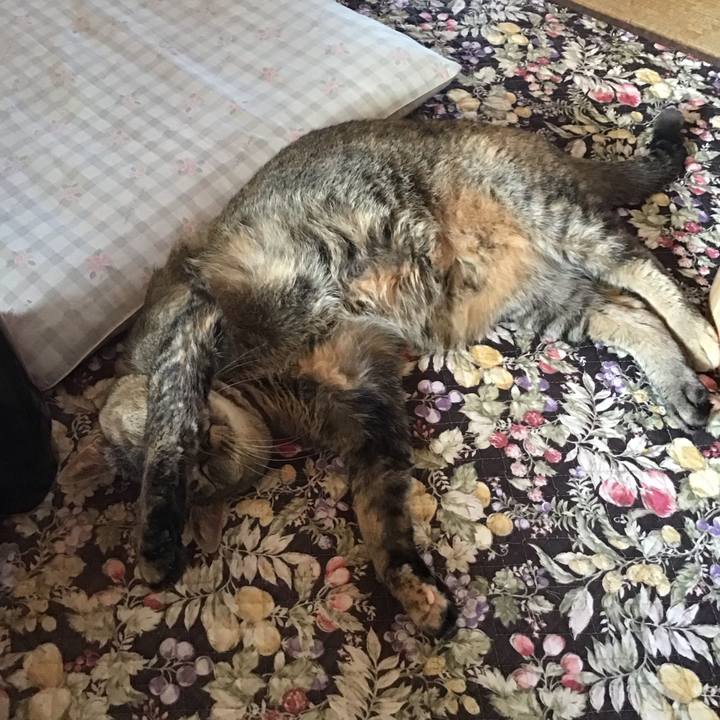 B1f62ef4 c2e1 4a25 b93d 0eaa93b19b15 1718448844778