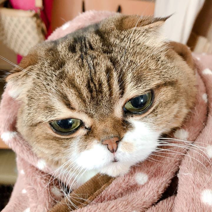 B1f6343c 0b0e 4e5a 8777 78e36087fc55 1574761923960