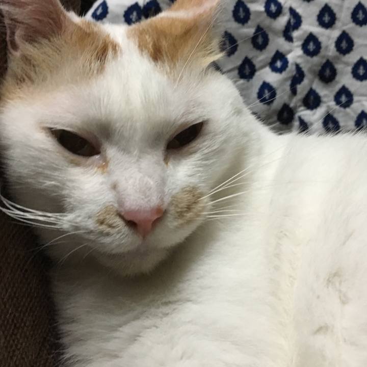 B1f64e6b 921c 448b b9d0 ad2b367d9277 1565954683284