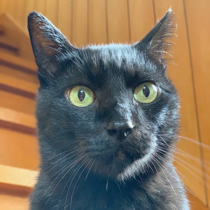 B1f66578 02ac 4a83 97f3 3e8ee86e99f7 1542417185777