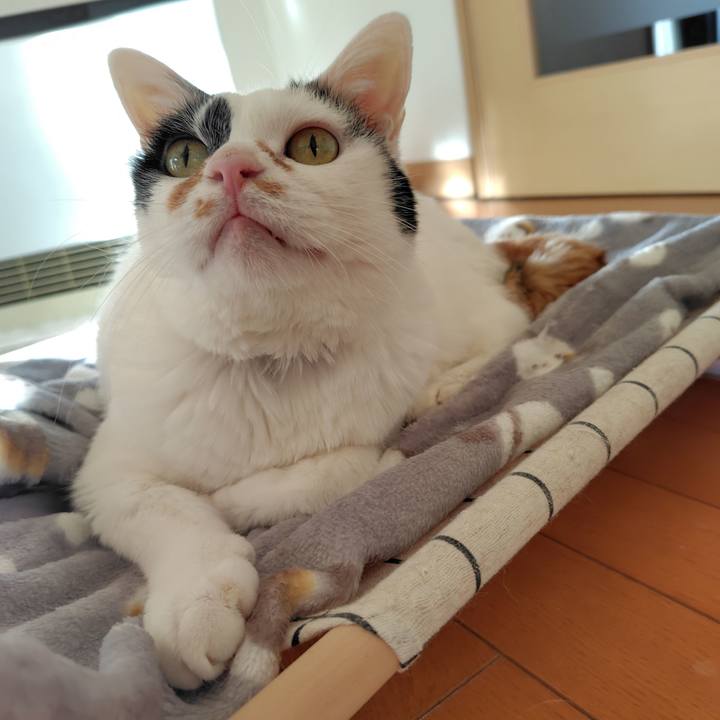 B1f66b16 cc8c 4670 b2b5 2a41c50d60c6 1763853750876