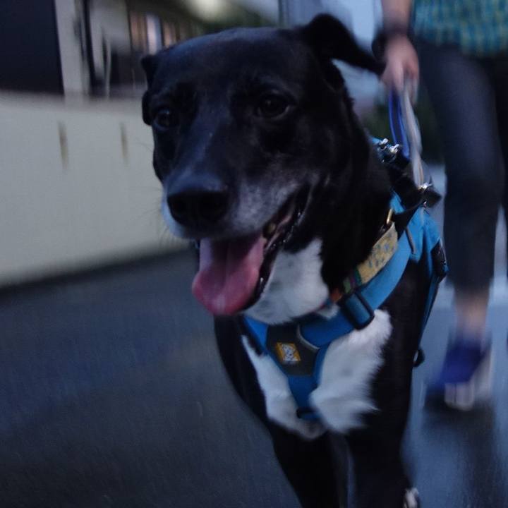 B1f67bd2 a7e5 4359 8cb8 efe7bf43489f 1721127652714