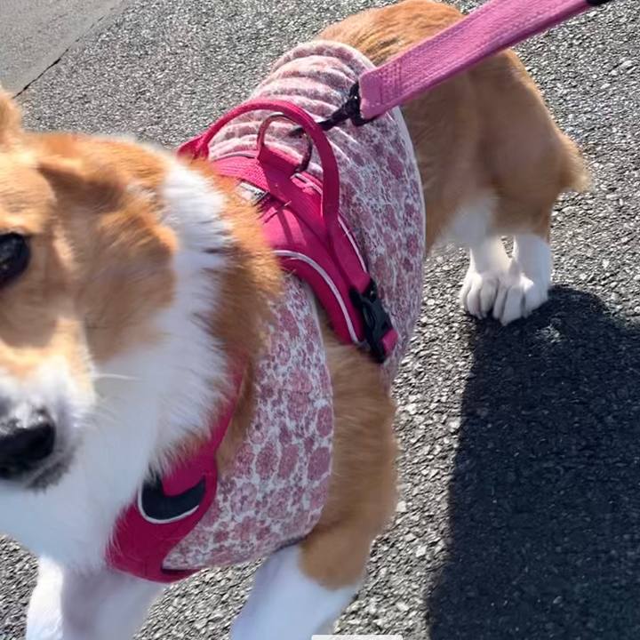 B1f682c9 0672 4af8 adfa 2b99d5449873 1674010650908