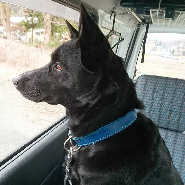 B1f6b5f0 5f18 49d5 8da3 d464be53780a 1553306527800