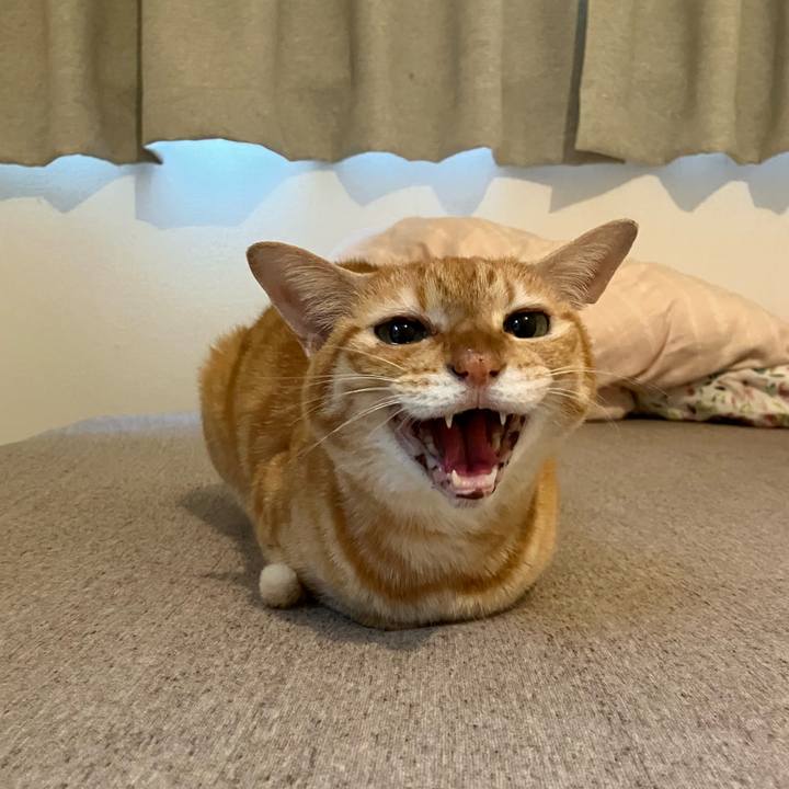 B1f6e5a1 34bc 4f0a 9542 d371981359ab 1761601729479