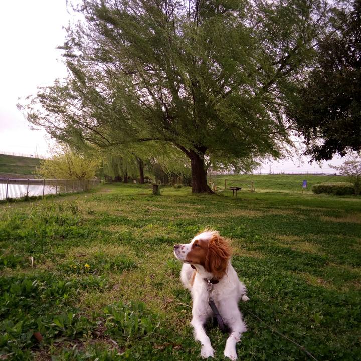 B1f7041a 008a 492d 847b e447ee4085e5 1523100981784