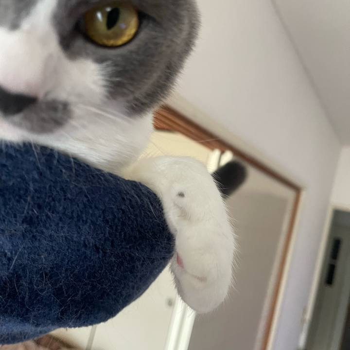 B1f71cc3 c6ab 41f1 a050 187cc70ff7fe 1700804576365