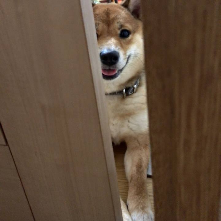 B1f78558 78b1 43d3 b41a fb41c7f597f8 1519987647516