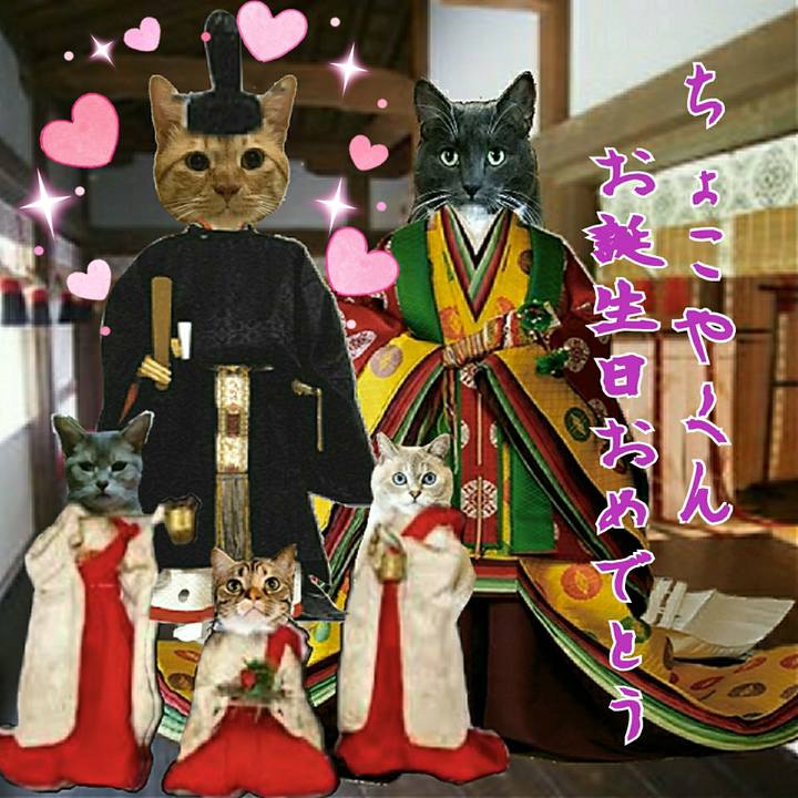 B1f7d9af 3972 4013 8eee b12e56055c70 1551566811061