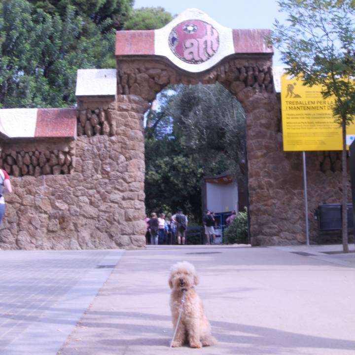 B1f7f7ed c438 4481 b55f df0a58720025 1508266867774