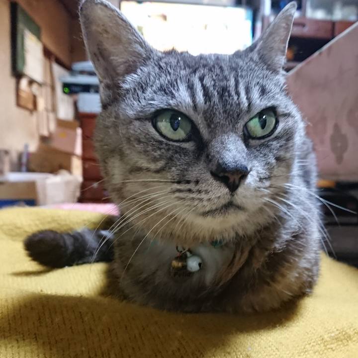 B1f80d5c 8d95 43b9 b5d2 f4263b6a7014 1570012646354