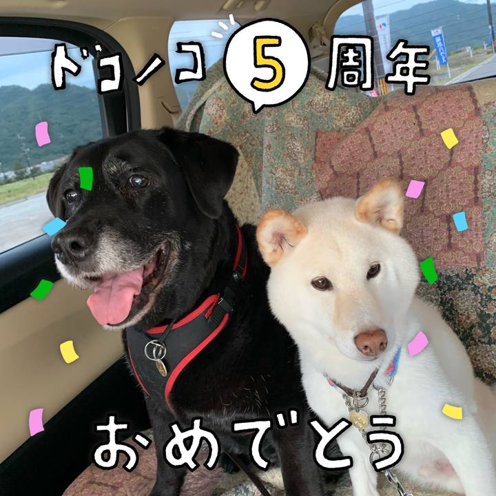 B1f814ef 2531 4124 93e7 44799794d912 1622856907950