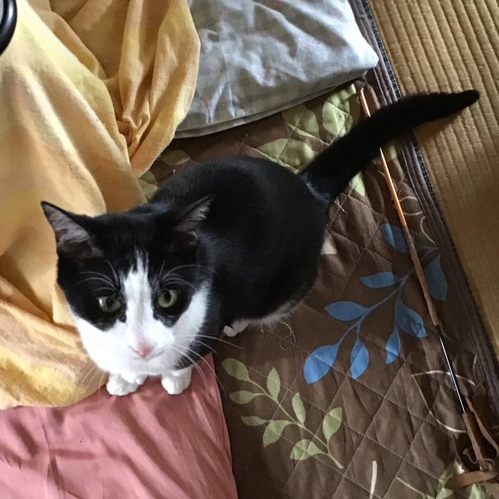 B1f83b48 0bd9 4b10 87ac 73c01a9606c9 1685357173603