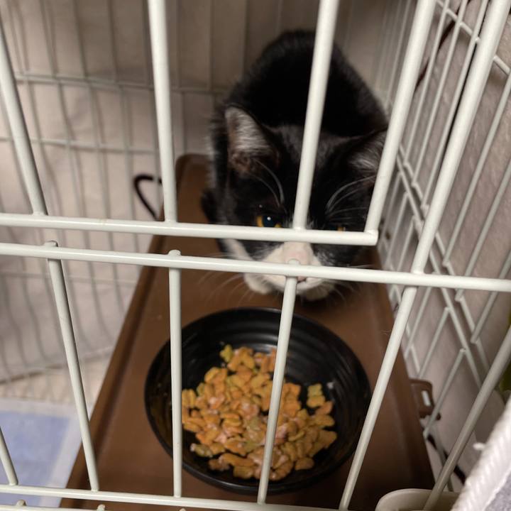 B1f8499b 6ef6 4743 9b42 de2a45a052a1 1675783730860