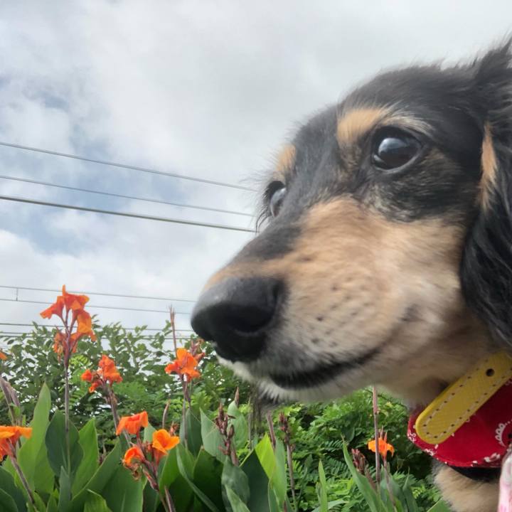 B1f85340 1c5c 41b4 bad4 b2e2f4ac1e2c 1596154481341