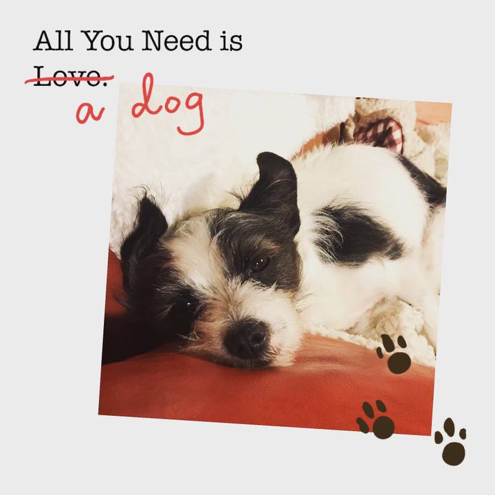 B1f88942 c973 448e a8b1 792a967749b6 1550147116107