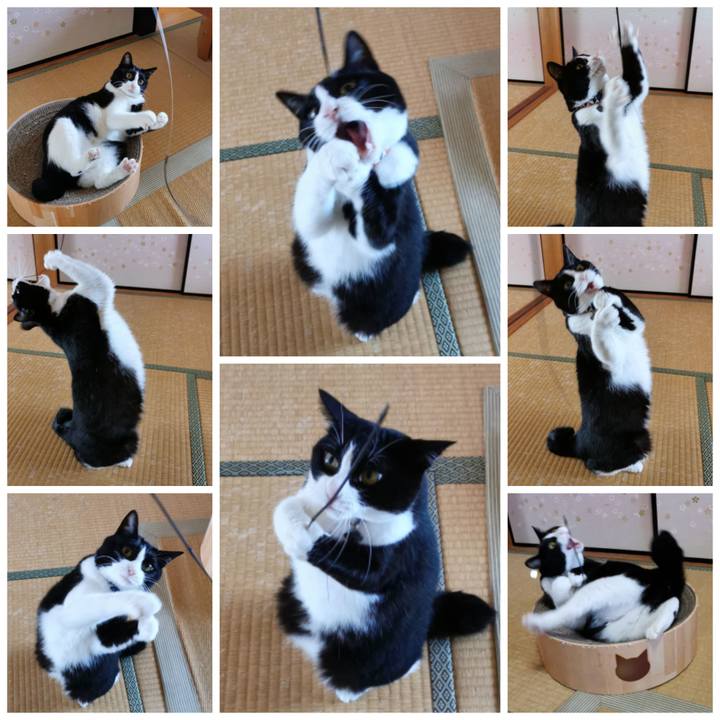 B1f89493 6f8d 44aa 8a6e 2196f8e04ad7 1631942981547