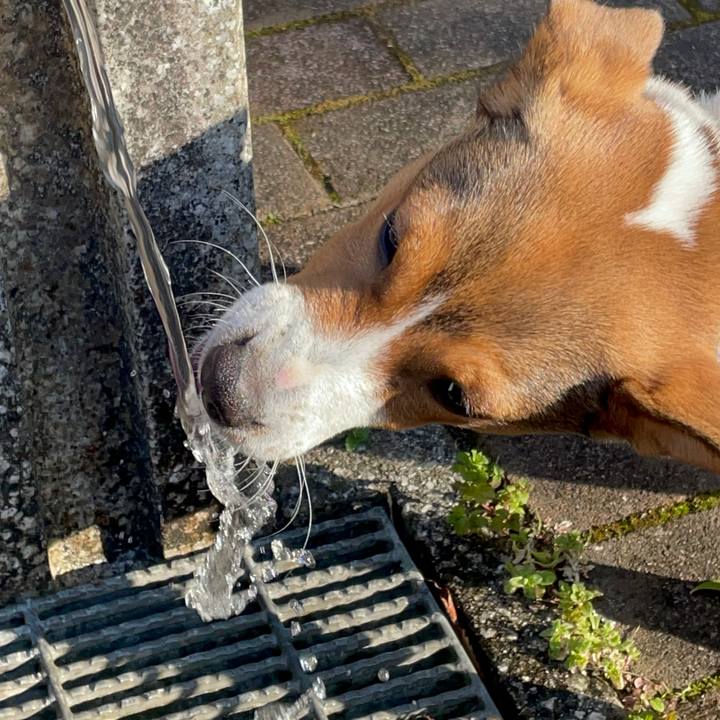 B1f89786 9e12 4d94 9c95 5007e089beb7 1676796587073