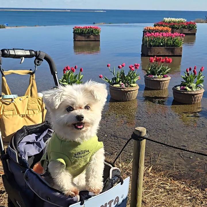 B1f8d36a 6dd7 4999 ba9d 68636deafc6b 1768208793034