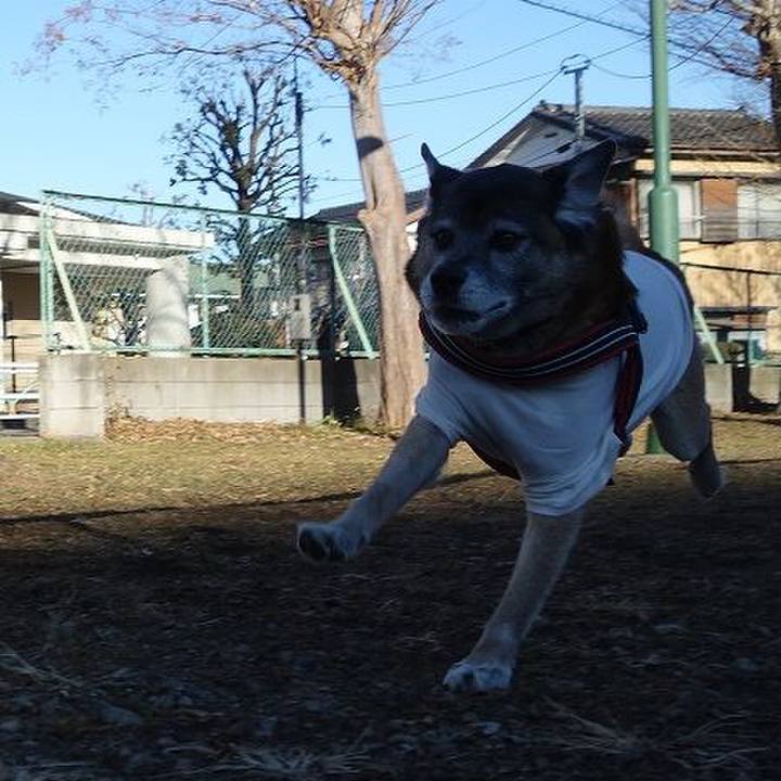 B1f8efa4 1cb4 42eb 9df3 1ed50a19a6ff 1515892432884