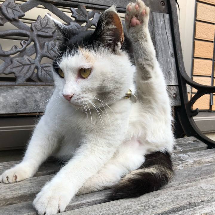 B1f921e4 eae1 4bae b64e 01fe0528b92d 1612878074462