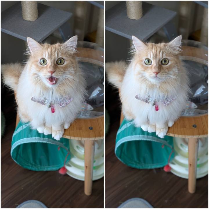 B1f93eb1 a34b 4601 adcc bd891446d80a 1752489569980