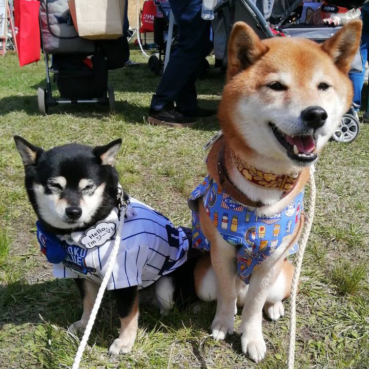 B1f9465d 7978 47b8 b3a8 9d5430f787ea 1682478634159