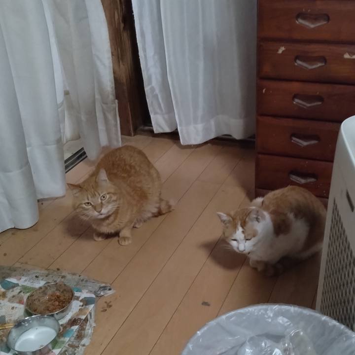 B1f98166 b51d 4fc8 b8fe 4c9d5eabf4be 1741419961102