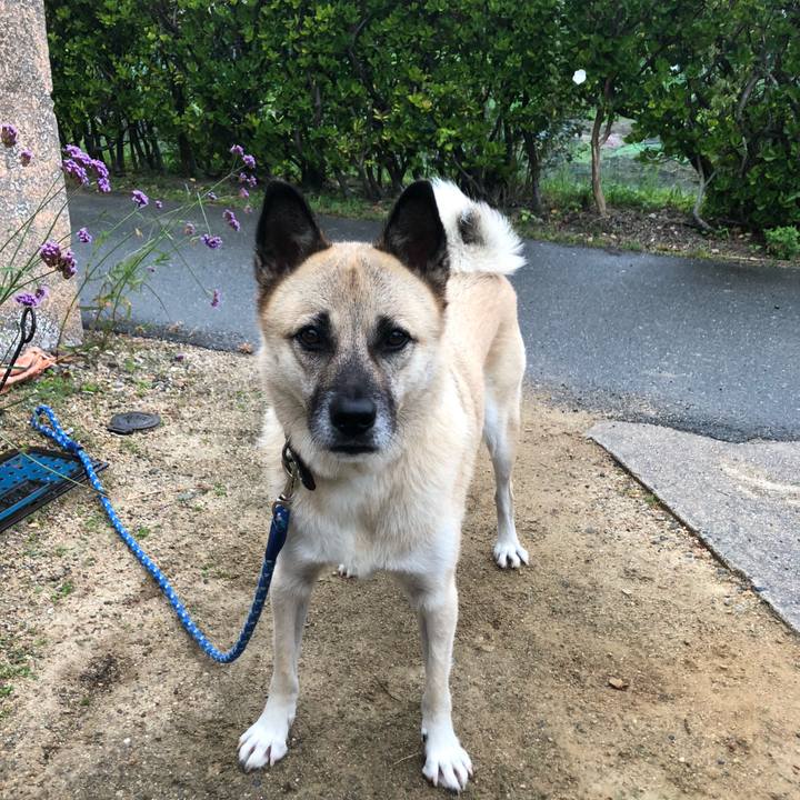 B1f981ab e929 437d b1ed 7ada310dae1a 1634041445559