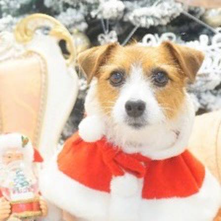 B1f9896d a49b 4fee a55d 6b35819d71a7 1571491075111