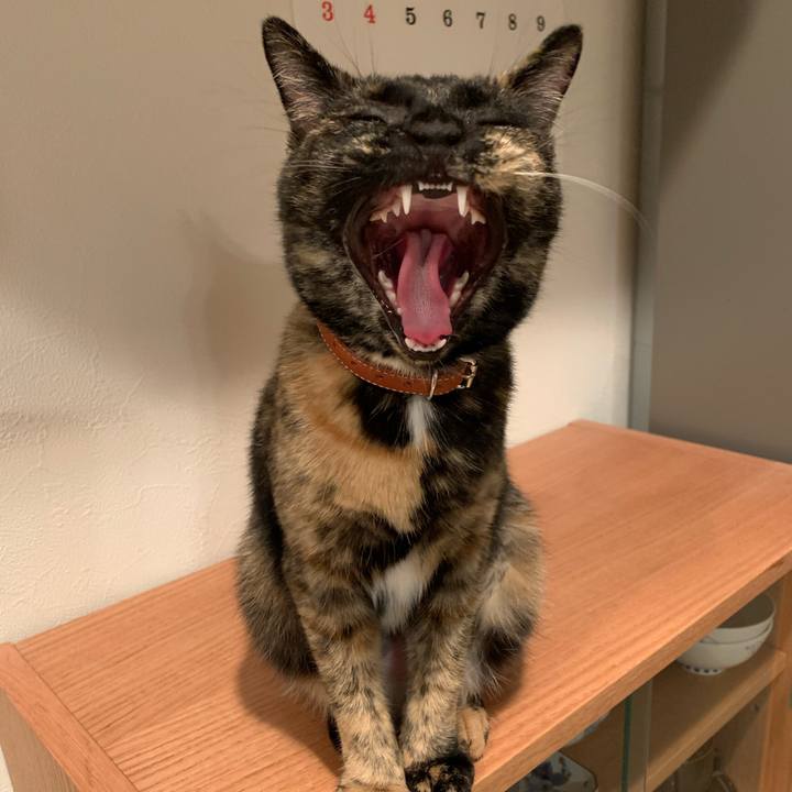 B1f992e5 6e73 4d8f 95d9 cbd9af22e57c 1573558693253