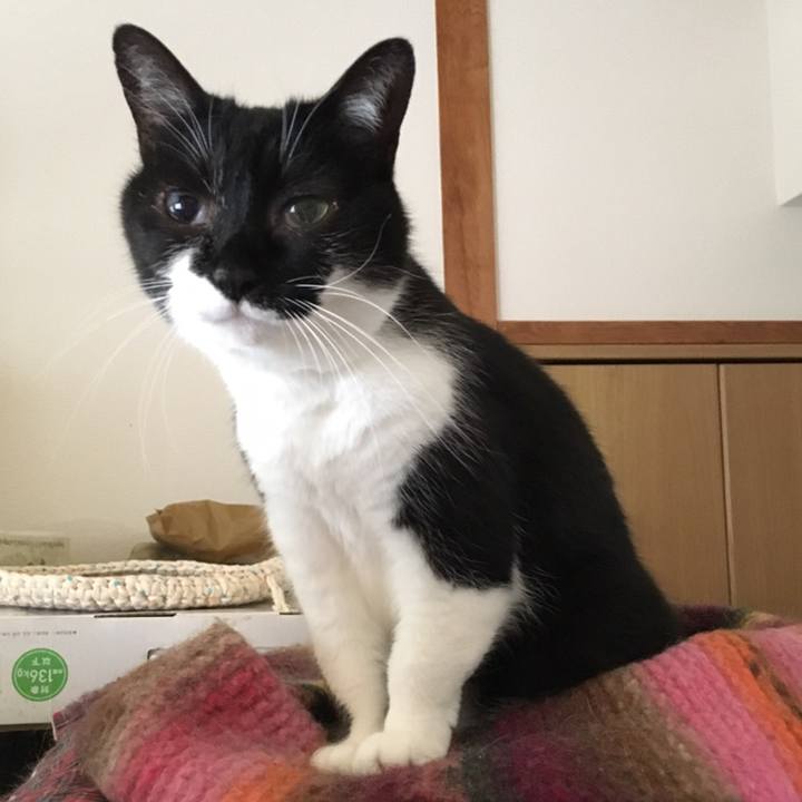 B1f9a458 0c6e 4e1c 9db8 2449cfa43bbd 1558423770439