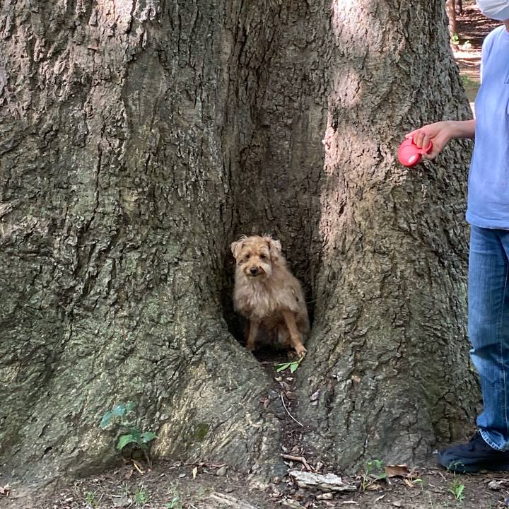 B1f9ac02 304a 493e a2f6 ea872fc271e5 1629586981672