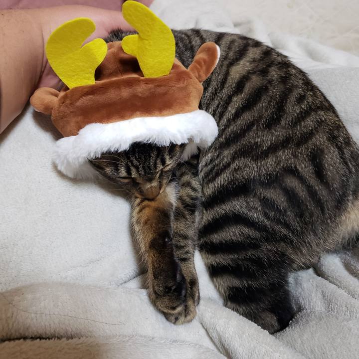 B1f9b6a3 15a6 452a 9475 a1ffcb4fc398 1545621521139