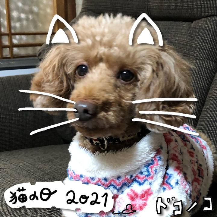 B1f9c5a3 8bed 4e4c b0a0 3b94e72c0060 1613978301942