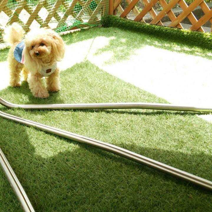 B1f9d455 6757 44cd a698 a1ae24b93eda 1526455002138