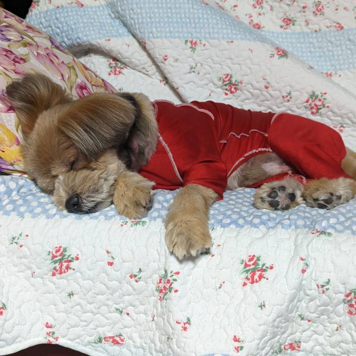 B1fa0982 4596 41b8 9fcc b9f1781317c0 1685718193871