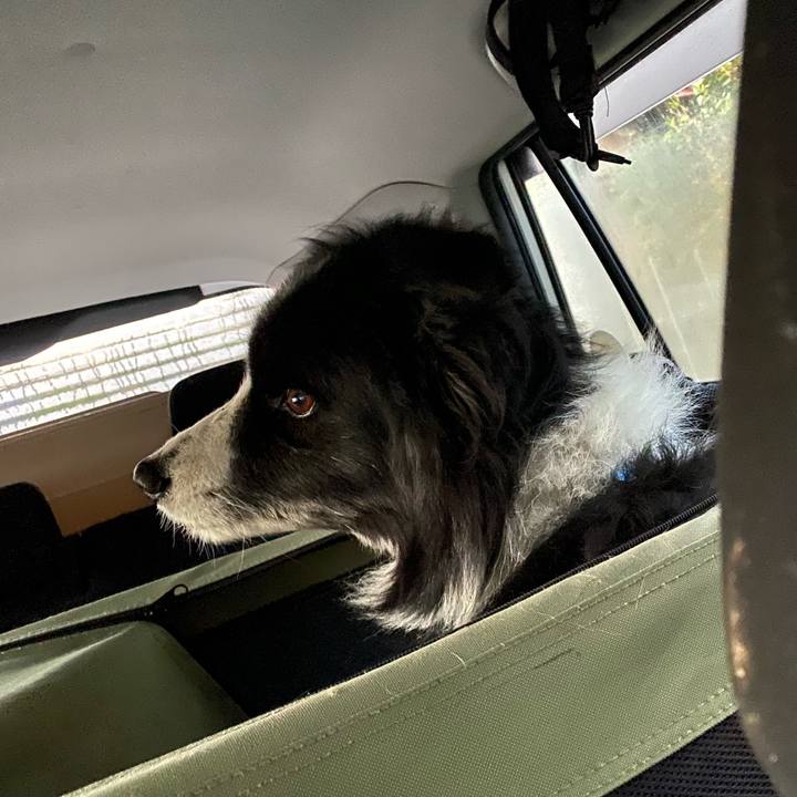 B1fa5a92 6ad3 43c6 b1fe 1d4793b0c550 1637964384111