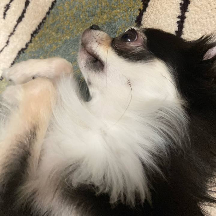 B1fa67ea e1e5 4240 ba49 4dfdd7f125f6 1623589820400